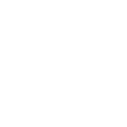 Travel and Tour Operators